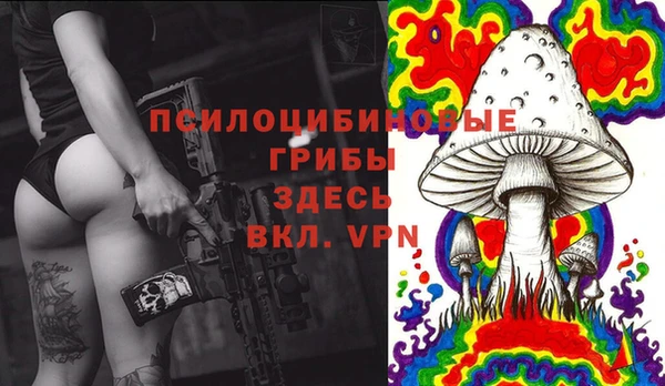 MDMA Premium VHQ Аркадак