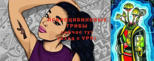 стафф Алзамай